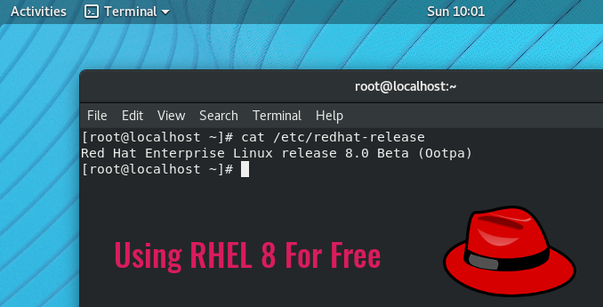 Linux Redhat Free Download Download Iso